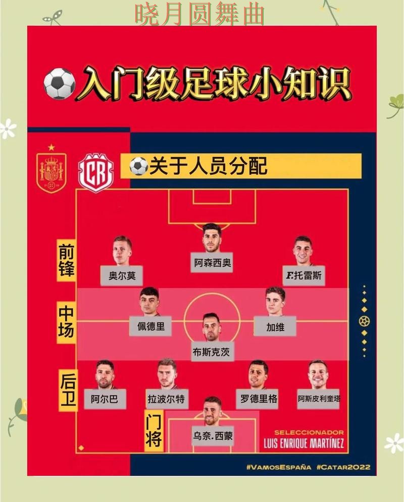 世界杯投注官网新手最容易踩的坑有哪些,操作方法总结 世界杯投注官网新手最容易踩的坑有哪些,操作方法总结